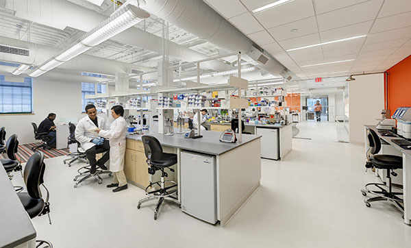 Wide angle view of a sleek lab with workers collaborating